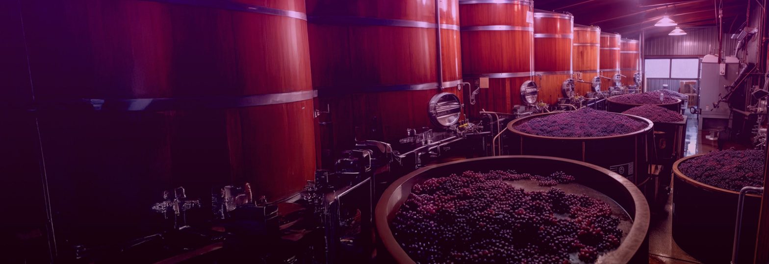 How dotSolved Transformed Operations for a Leading American Wine and Spirits Distributor Using NetSuite ERP