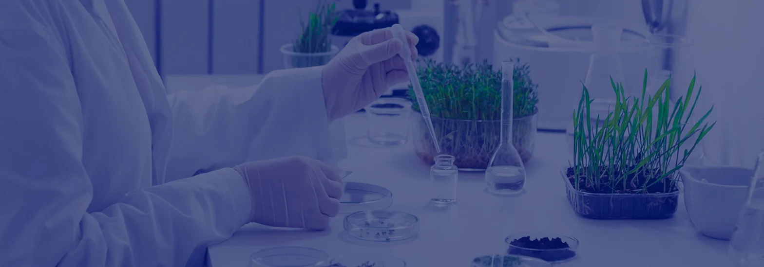 NetSuite Implementation For A Global Biopharma Client